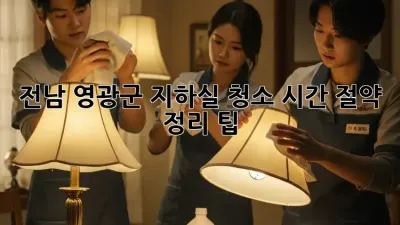전남 영광군 지하실 청소, 시간 절약 정리 팁!