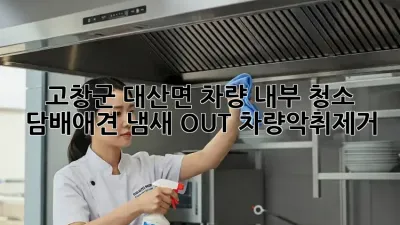 고창군 대산면 차량 내부 청소🧹 담배/애견 냄새 OUT! #차량악취제거